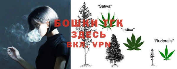 молекула духа Дмитровск