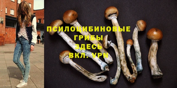 a pvp Дмитриев