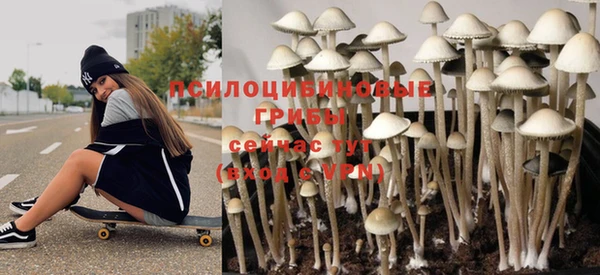 a pvp Дмитриев