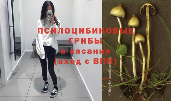 a pvp Дмитриев