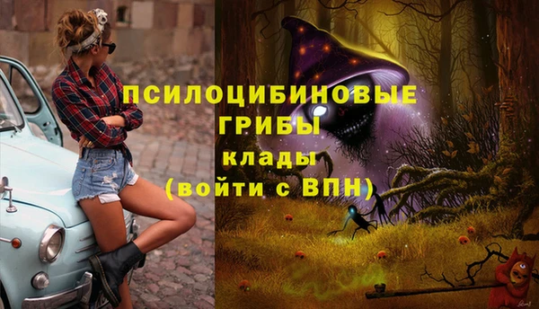 каннабис Дмитров