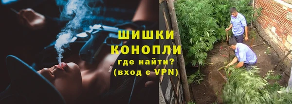 молекула духа Дмитровск