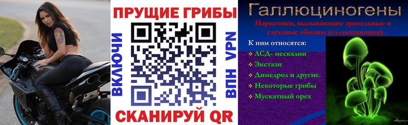 Псилоцибиновые грибы Cubensis  Купить  Туймазы 