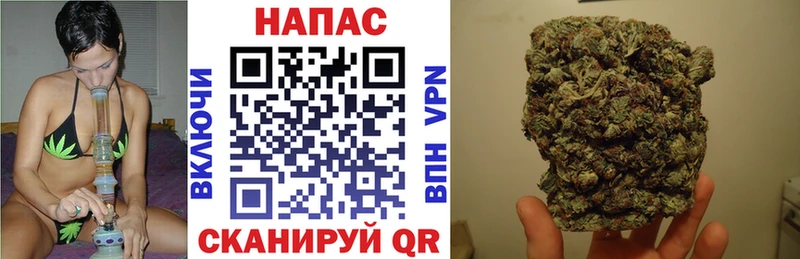 Купить где  Туймазы  Каннабис сатива 